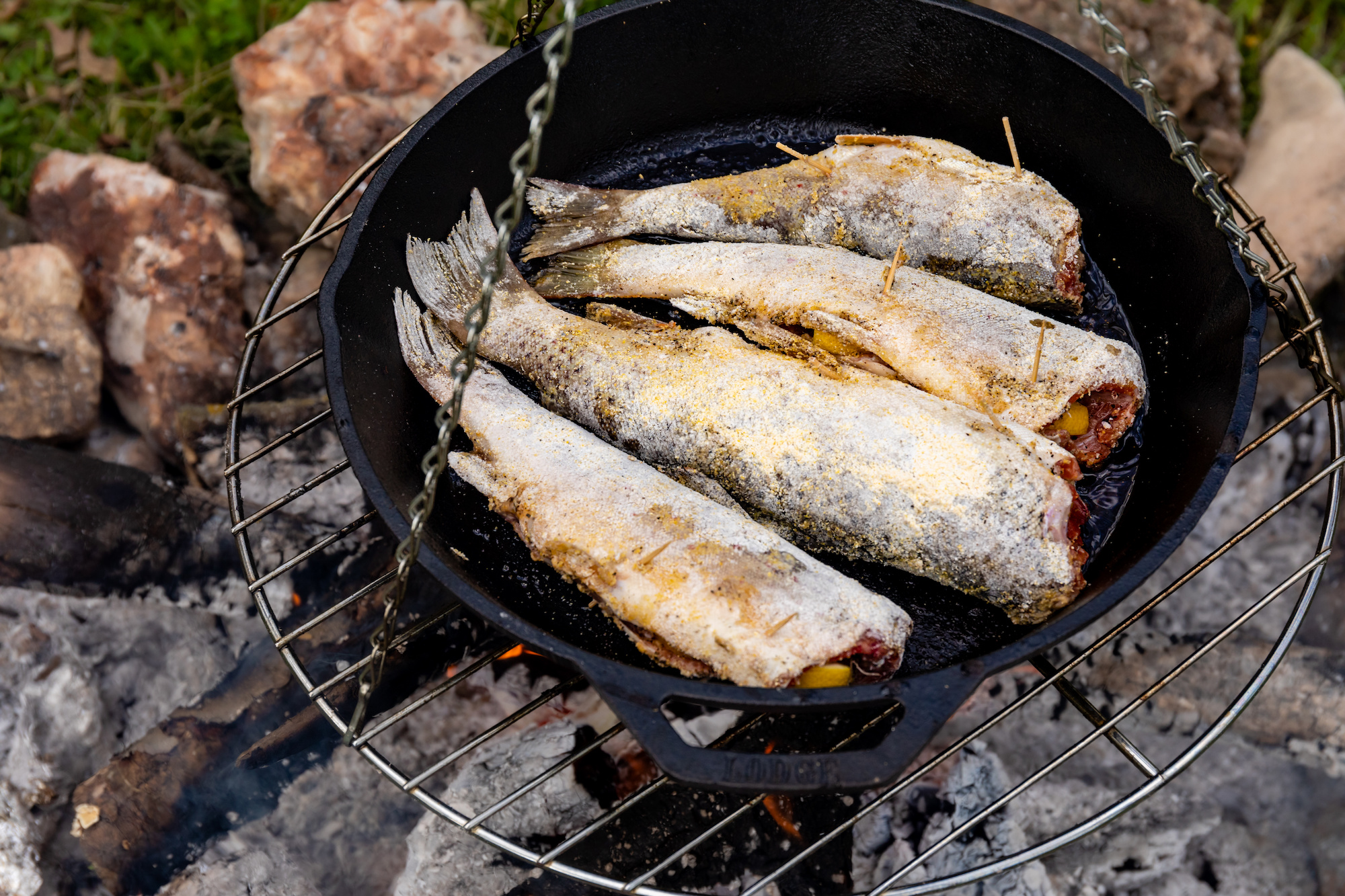 how to cook trout over fire feature