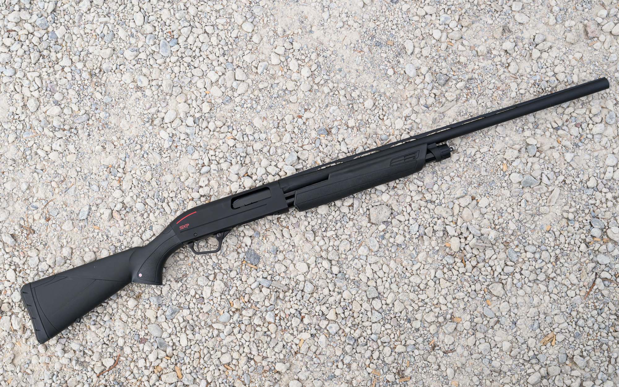 The Winchester SXP pump shotgun.