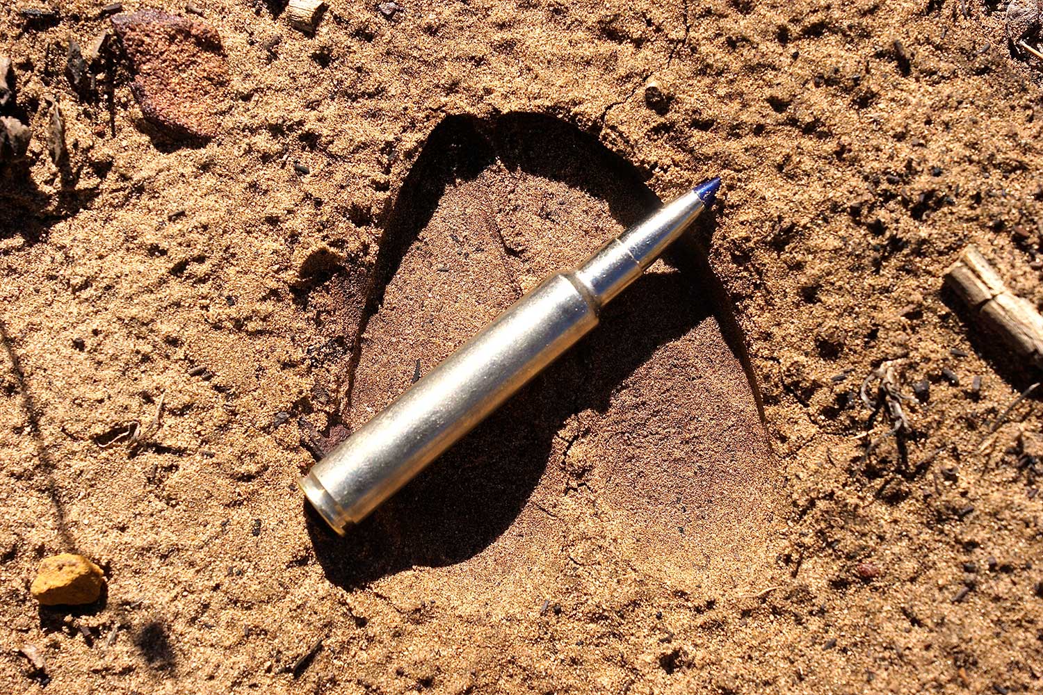 rifle cartridge rests on the ground on a large mule deer hoofprint