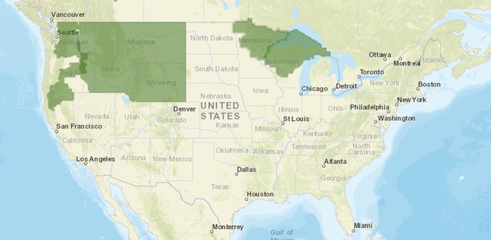gray wolf range united states