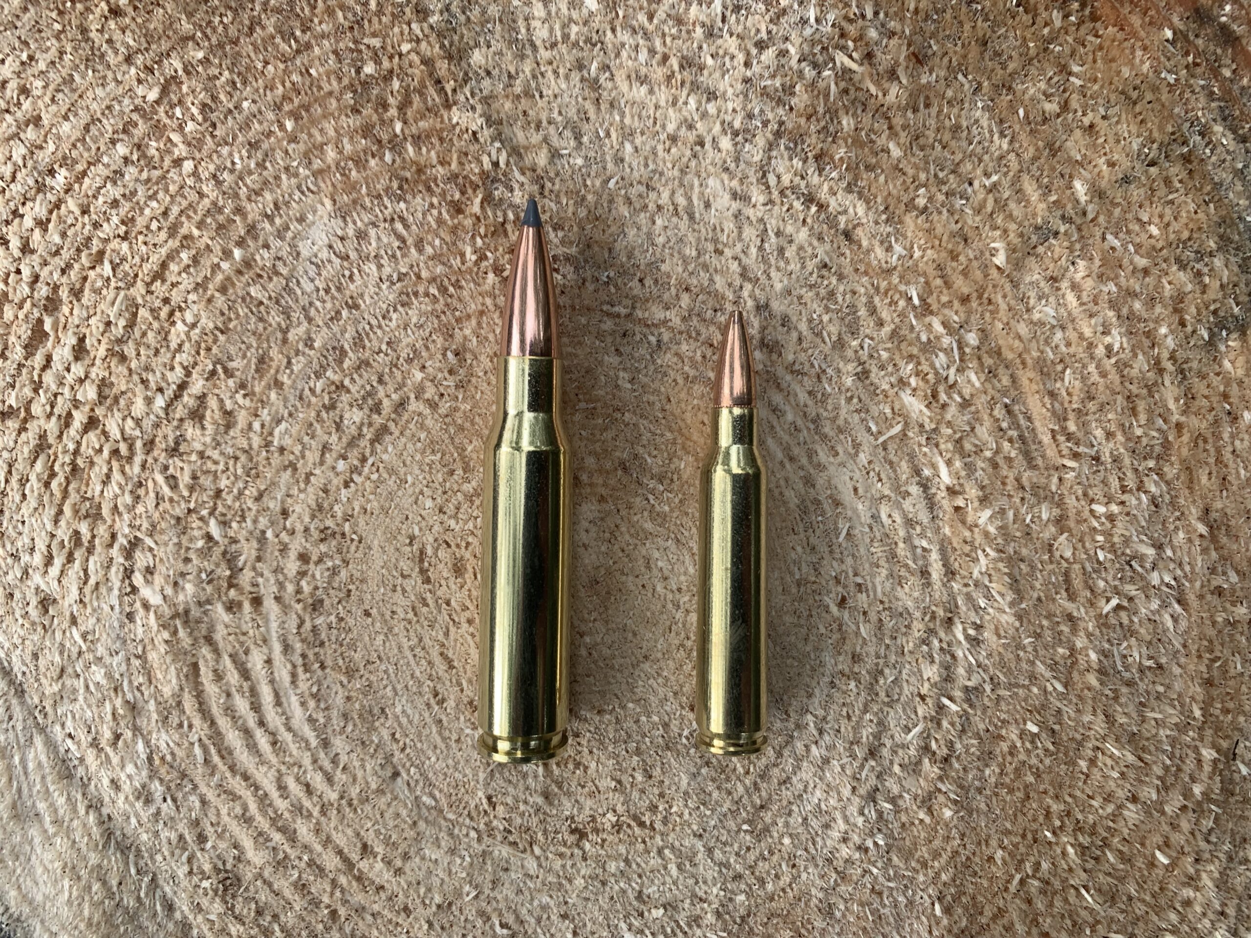 .308 and 5.56mm cartridges