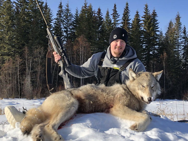 Staff writer Tyler Freel to this wolf in Northern Alberta with a 6.5 PRC.