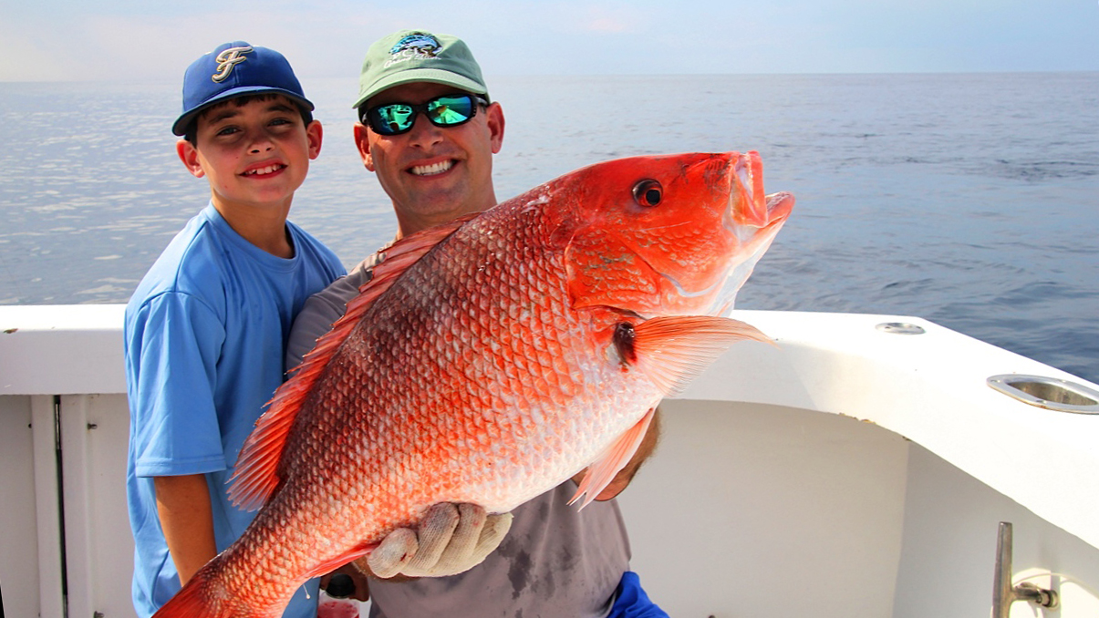 noaa overestimates recreational catch data for species like red snapper