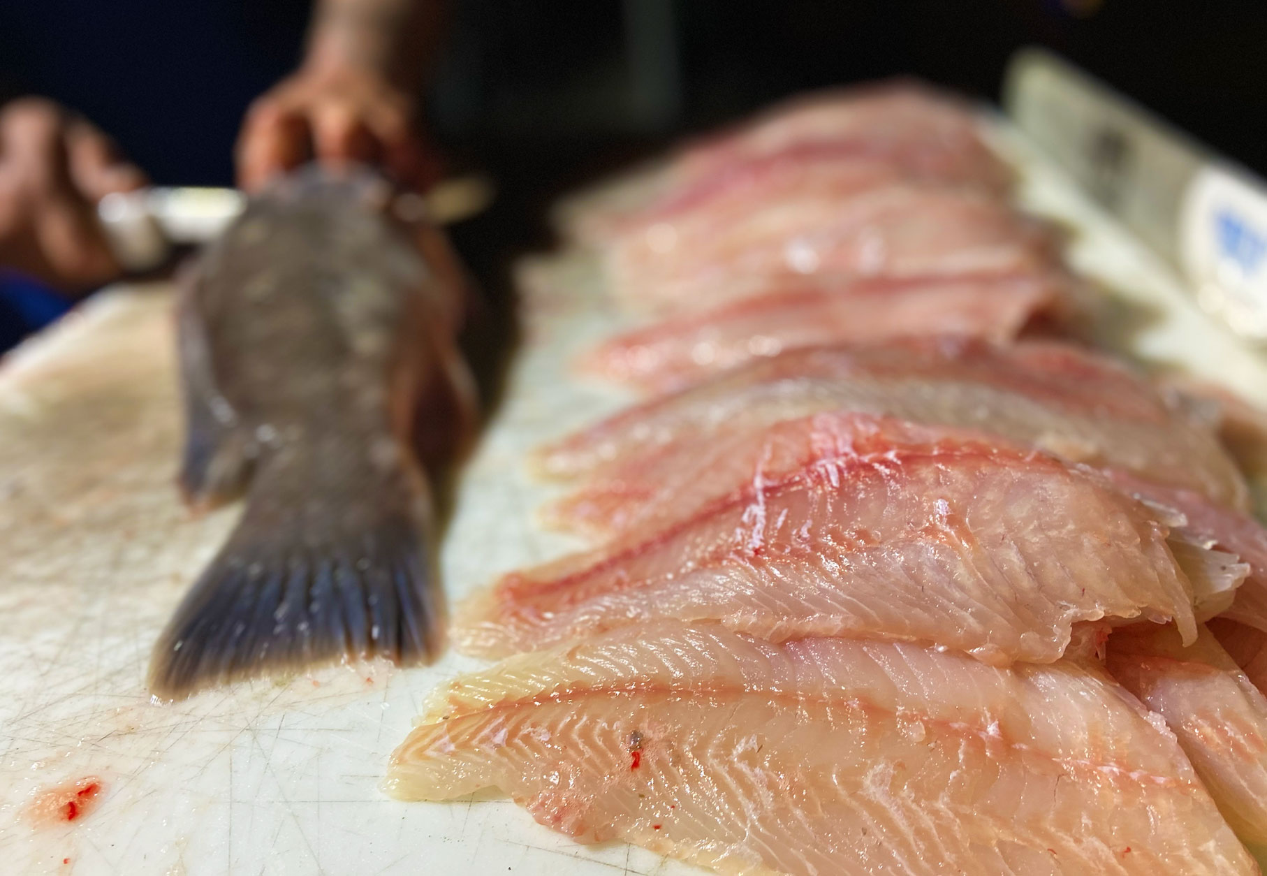 How to Fillet a Fish: Step-By-Step Guide