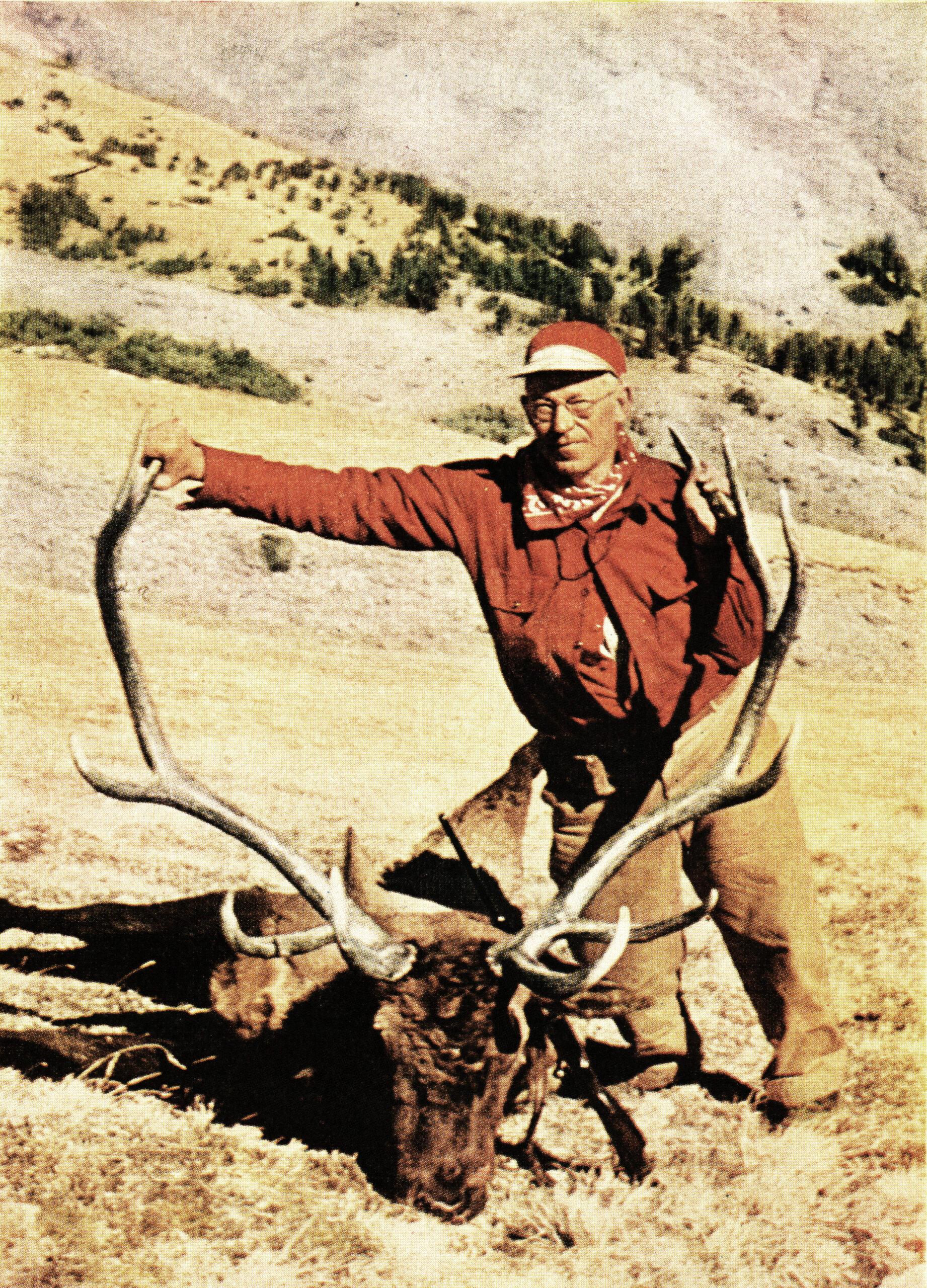 o'connor poses with big bull elk