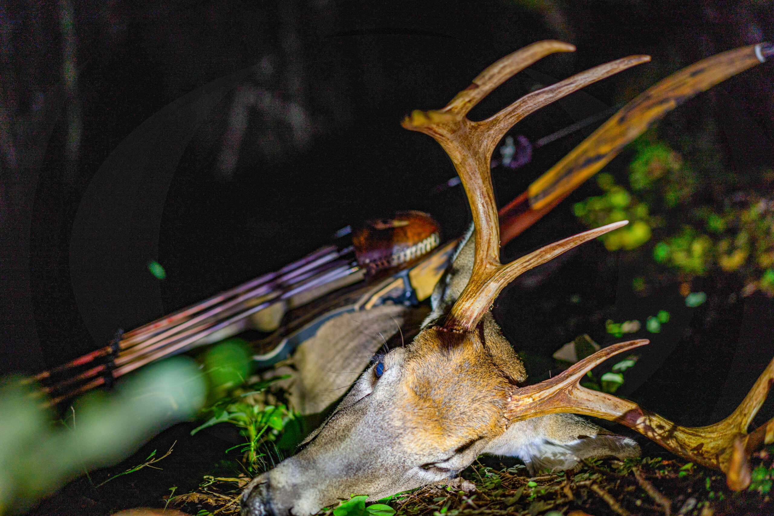 We tested the best deer hunting gear throughout the year.