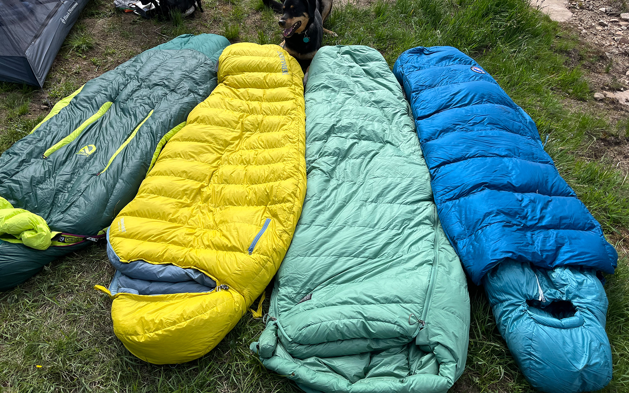 Sleeping bags lay in the grass.