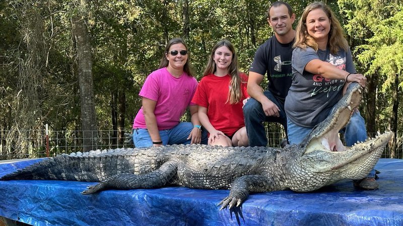 Arkansas Alligator Hunters Had a Record Harvest This Year
