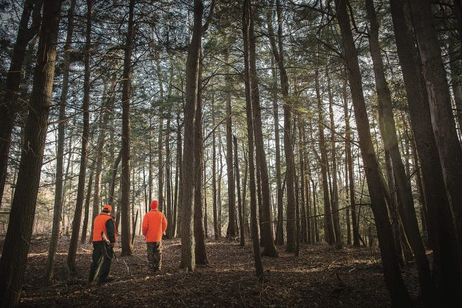 Tommy's Boys: A Crew of New England Hunters Copes with Loss by Driving Deer