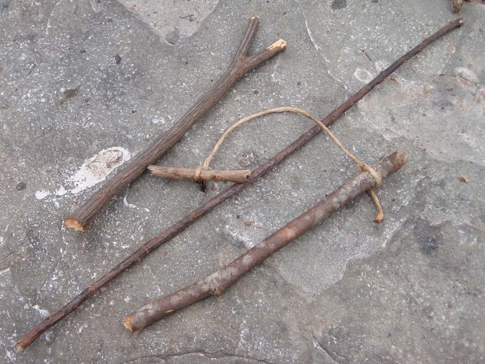 sticks on the ground that will be used for a trap