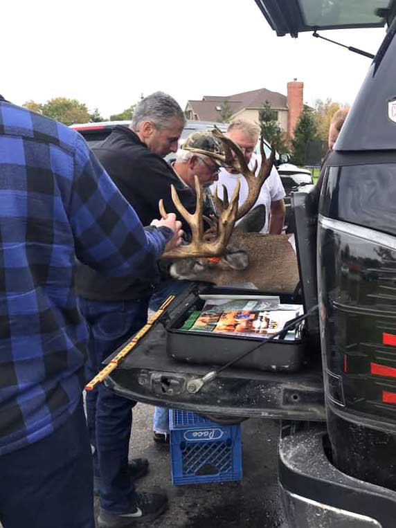 whitetail buck on truck bed getting scored
