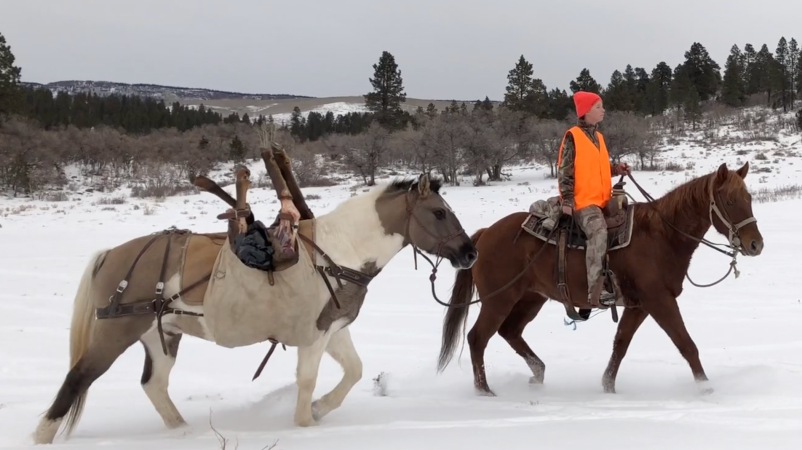 Video: Cheyenne’s Late-Season Cow Elk Hunt