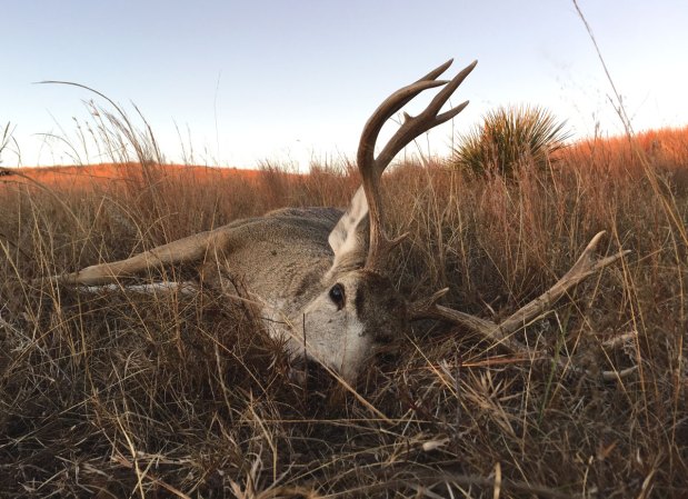 Lady Luck: Tagging Out in Nebraska’s Sandhills