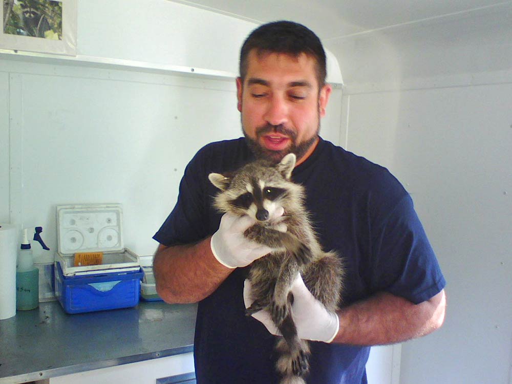 man holding up a raccoon