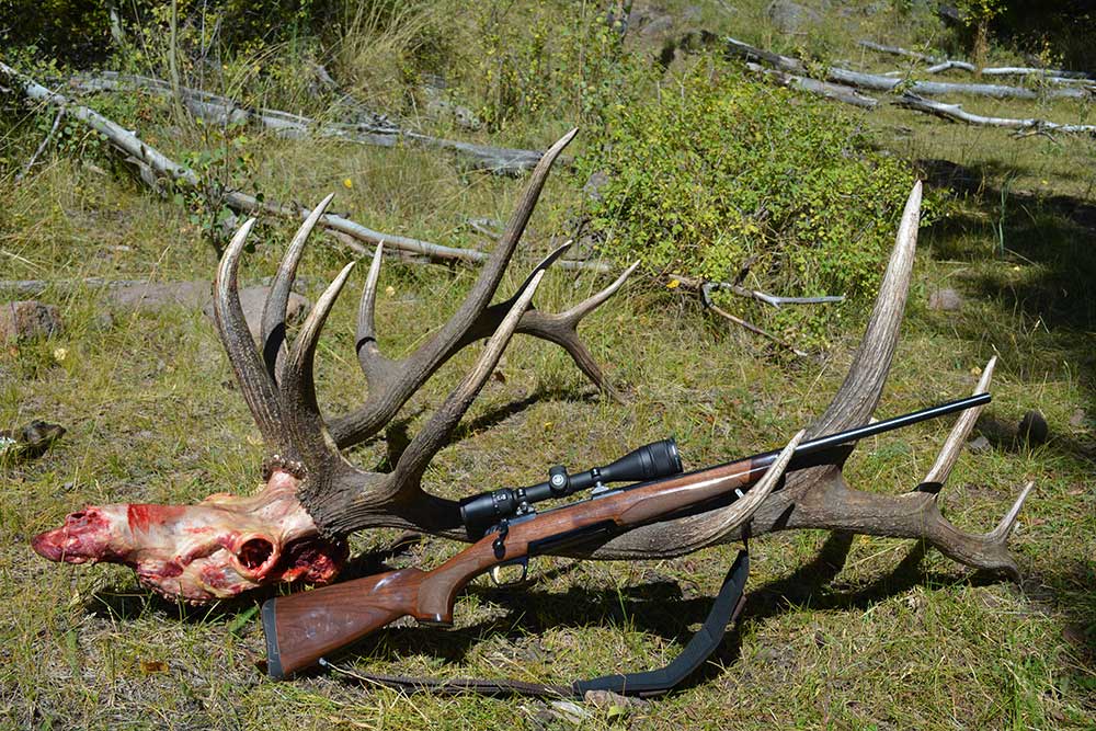 rifle leaning against elk antlers