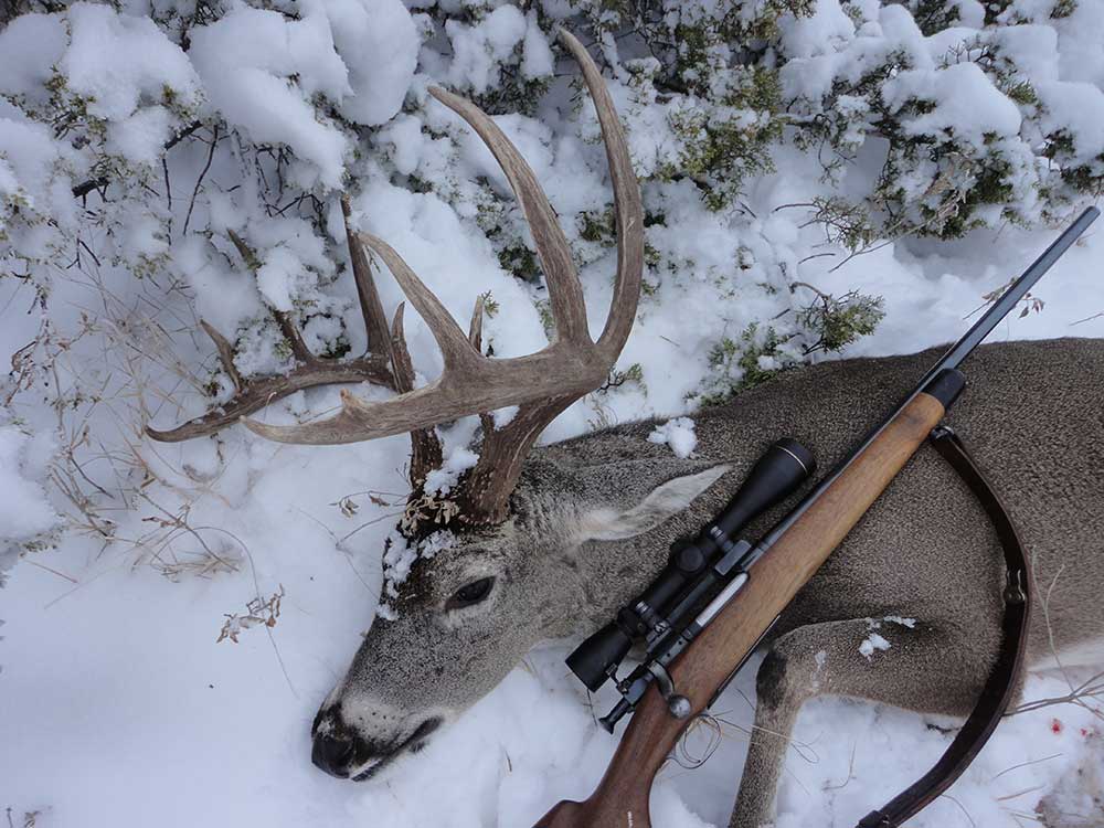 deer and hunting rifle in the snow