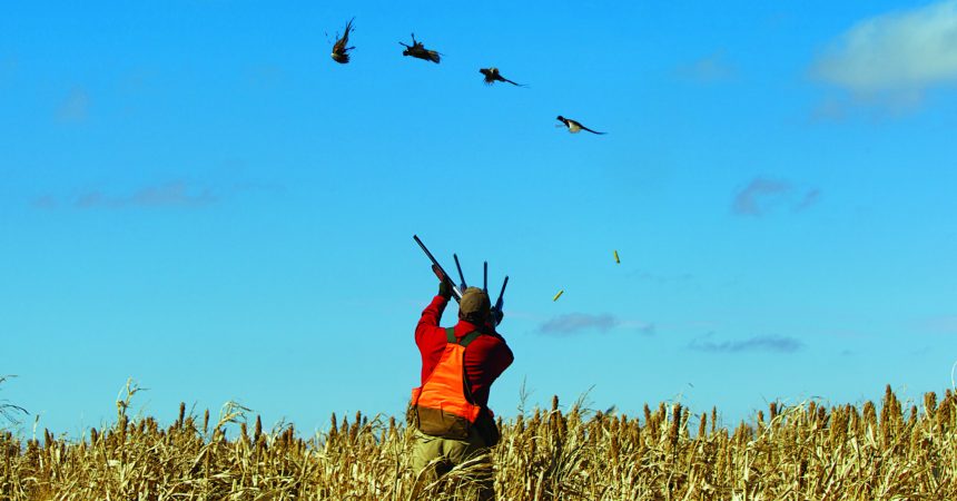 Wingshooting Skills: 6 Tips to Get Ready for Bird Season