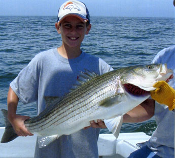 Best Species Youth Award-Striped Bass