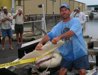 New World-Record Shark?