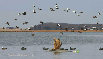 Fast Shooting from a Layout Boat