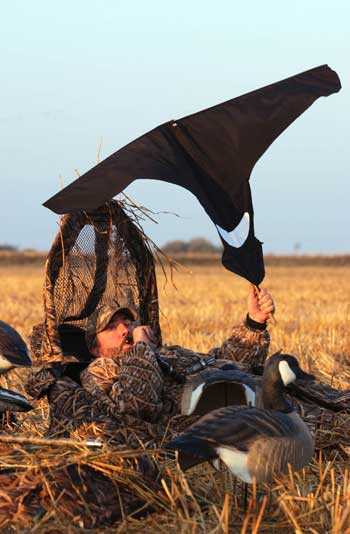 Flagging-in the Geese