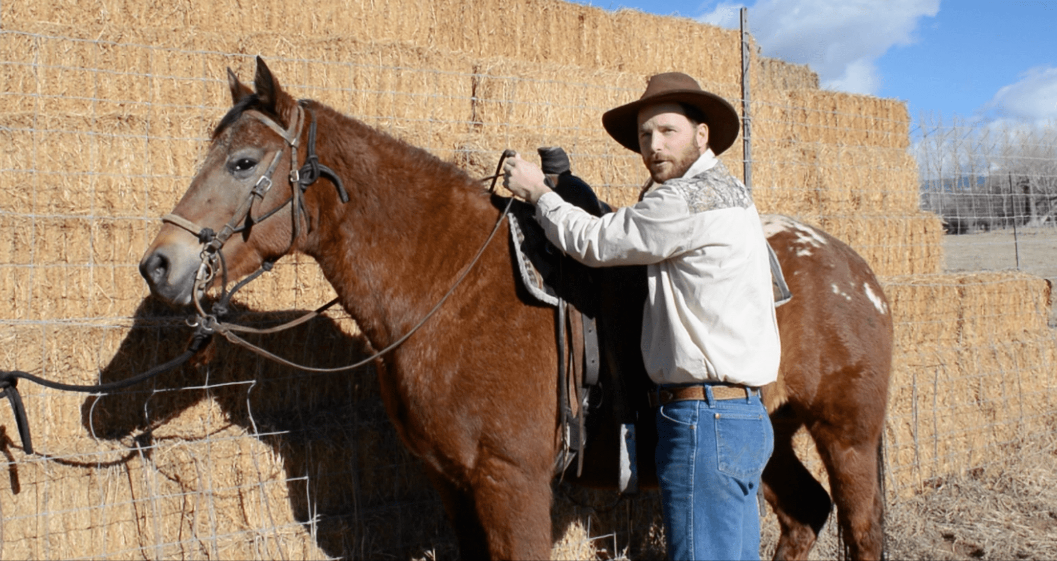 Video How to Mount and Dismount a Horse