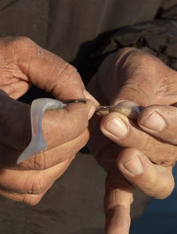 Plastic Paddle Tails