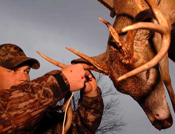 Hunting Illinois's Monster Deer