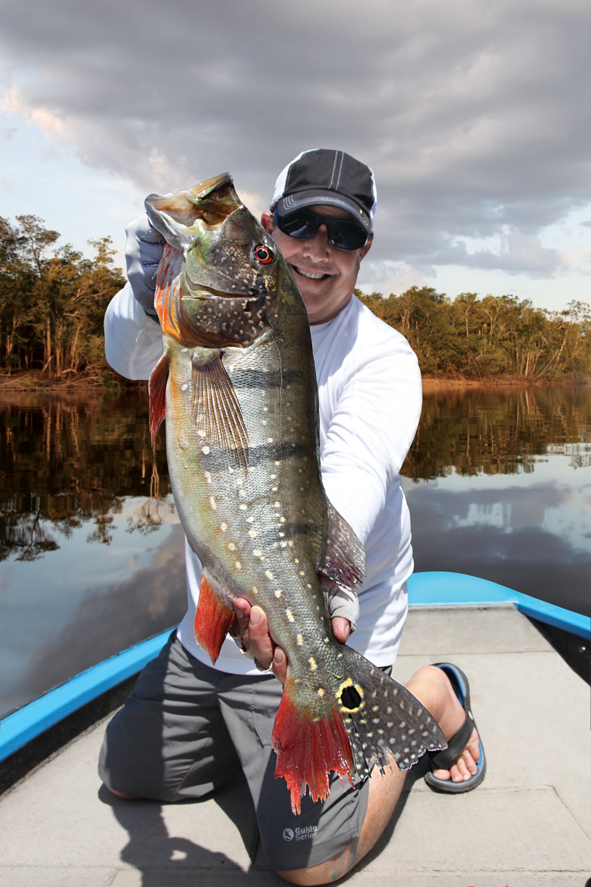 peacock bass, rio negro, amazon dogfish, freshwater barracuda, extreme angling, angling adventure, amazon fishing