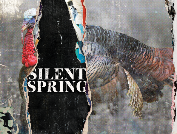 Silent Spring: The Changing Landscape of Turkey Populations and Strategies to Hunt Them