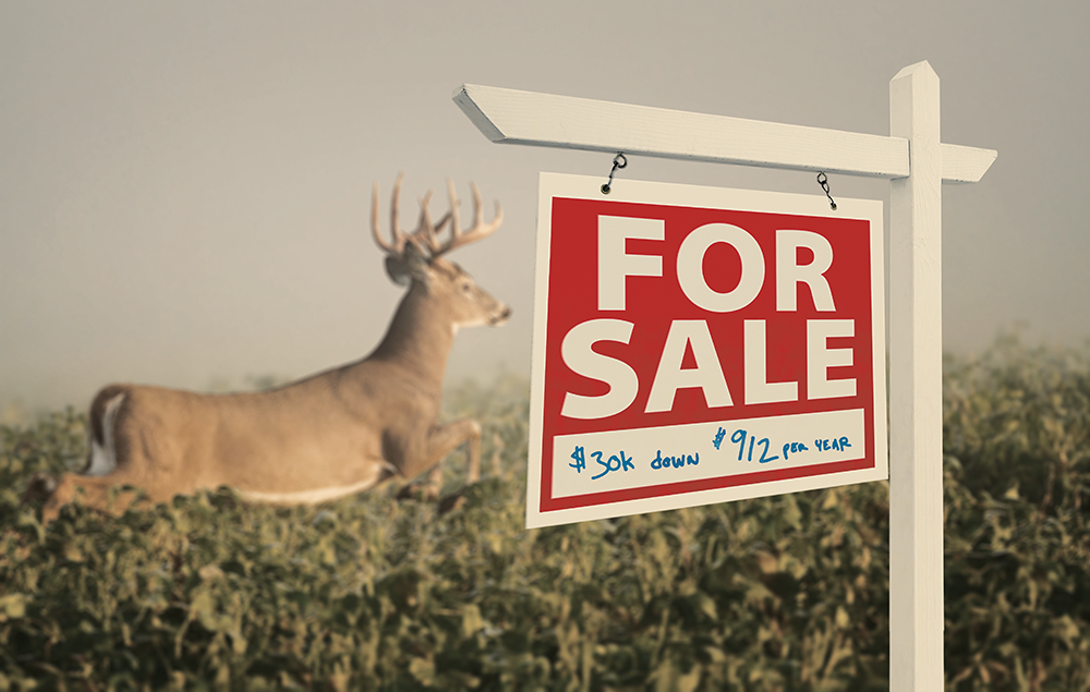Wise Acres How to Buy a Whitetail Deer Hunting Property