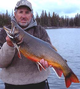 httpswww.outdoorlife.comsitesoutdoorlife.comfilesimport2014importImage2008legacy5_John_Walters_11_lb._7_oz._Brook_Trout_0.jpg