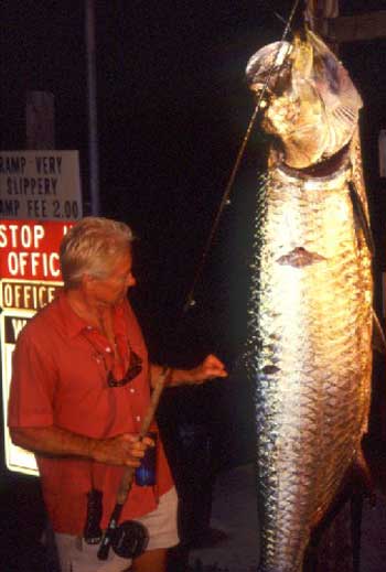 Alone with the Tarpon