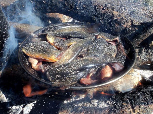Fingerling Lickin’ Good: Simple High Country Trout Recipe