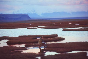 Scenic Setting for Decoy Set