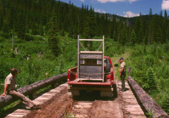 The Release Location