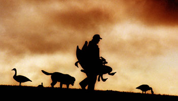 Setting the Decoys Early