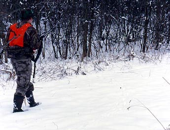 Snow-Tracking Whitetails