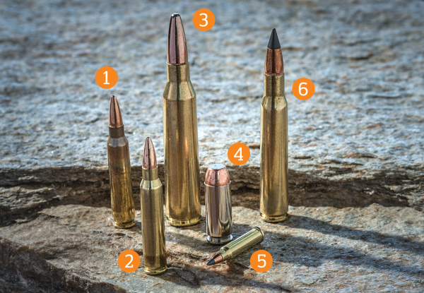 The 6 Best New Hunting Loads for 2015