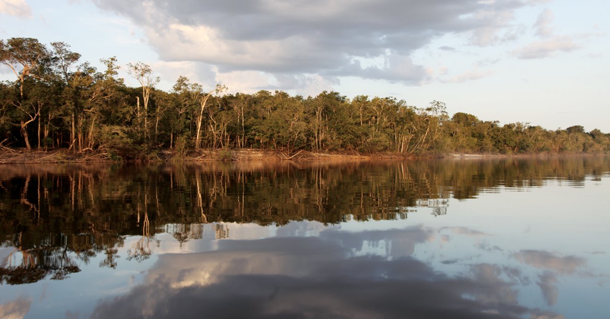 peacock bass, rio negro, amazon dogfish, freshwater barracuda, extreme angling, angling adventure, amazon fishing