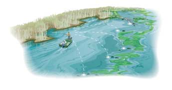 4. Probing Cover at High Tide