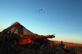 Letting Them Pass in Canada