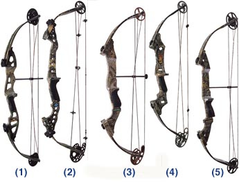Bow Shootout 2003 A test team grades this year’s             leading bows