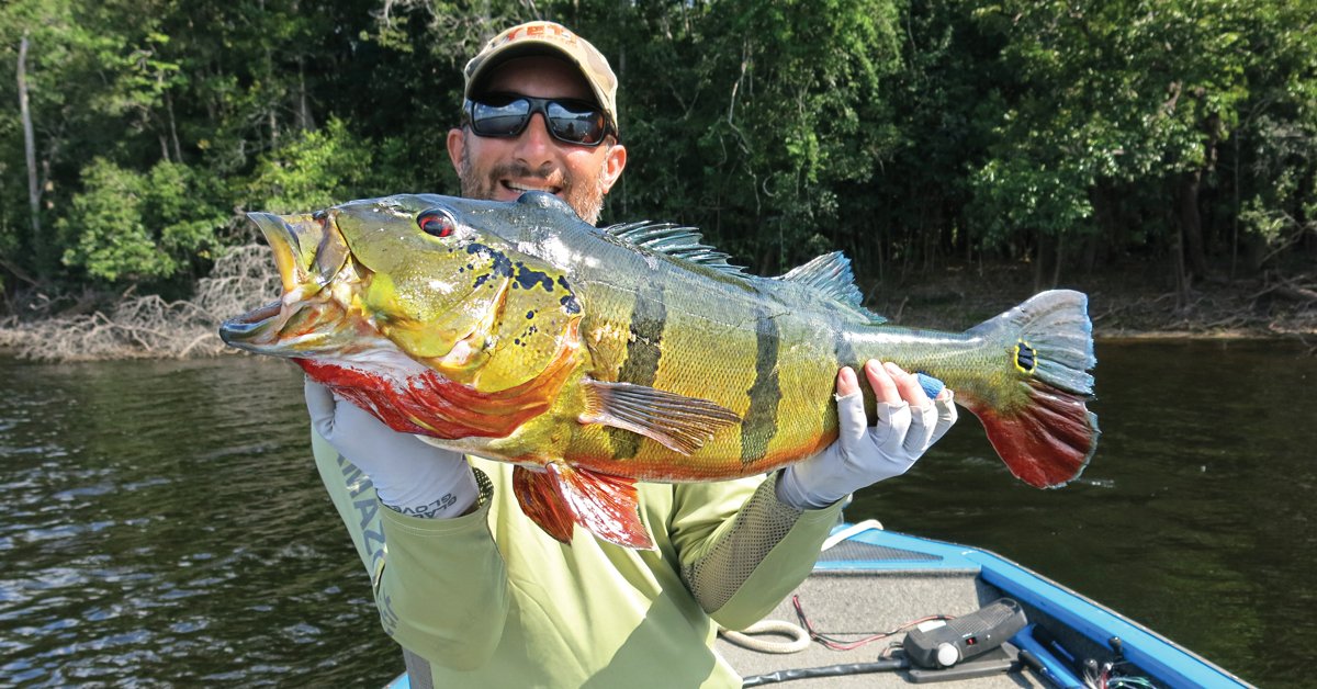peacock bass, rio negro, amazon dogfish, freshwater barracuda, extreme angling, angling adventure, amazon fishing
