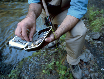 Picking the Right Pattern