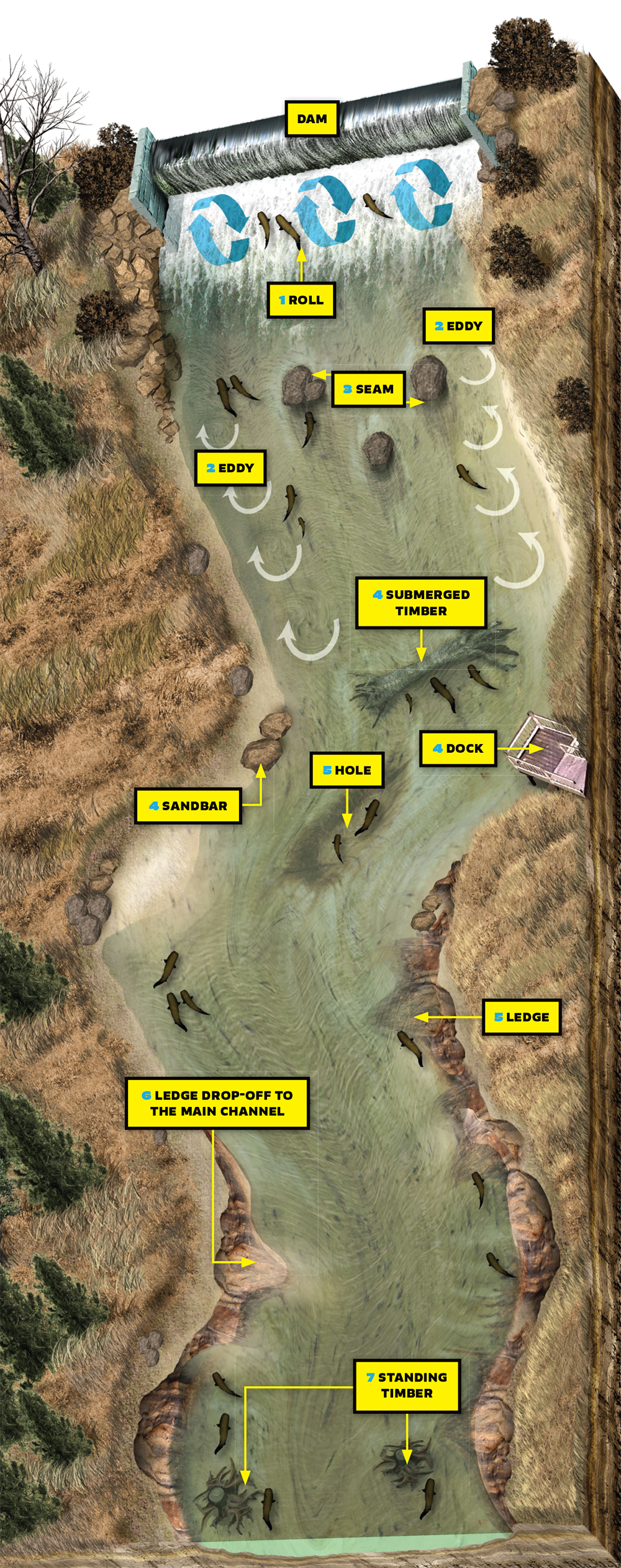 How to Fish for and Catch Catfish Near LowHead Dams