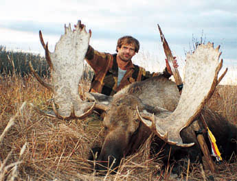  hunting moose in the yukon
