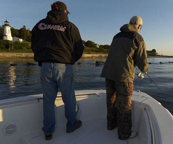 Striped or Largemouth Bass?