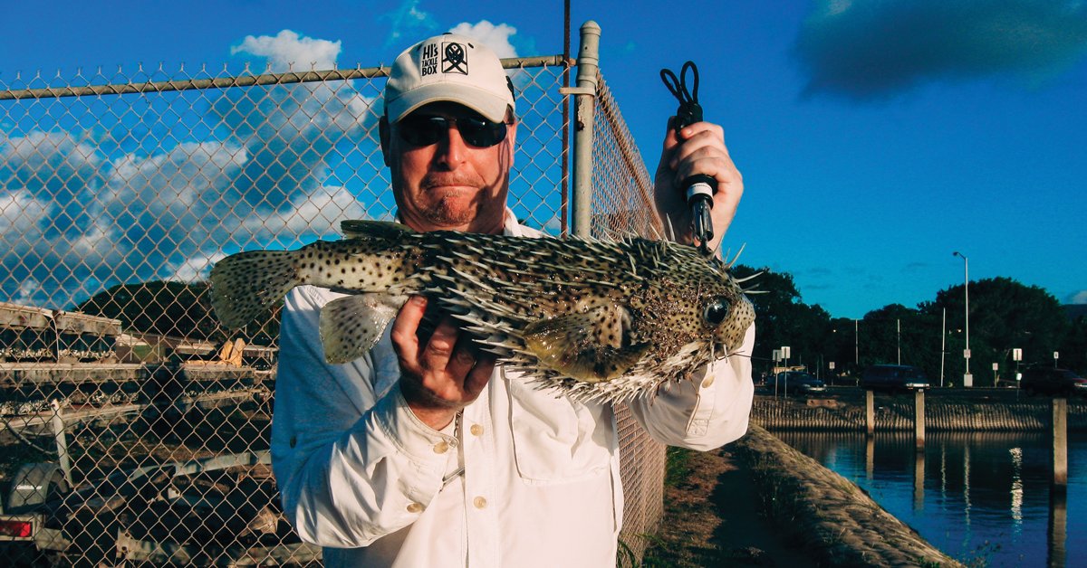 multispecies fishing, steve wozniak, extreme angling, angling obsession, fishing obsession, sport fishing obsession, fish diversity