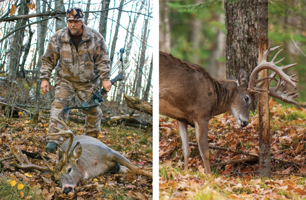 7 Tips for Bowhunting Big Bucks in Big Woods